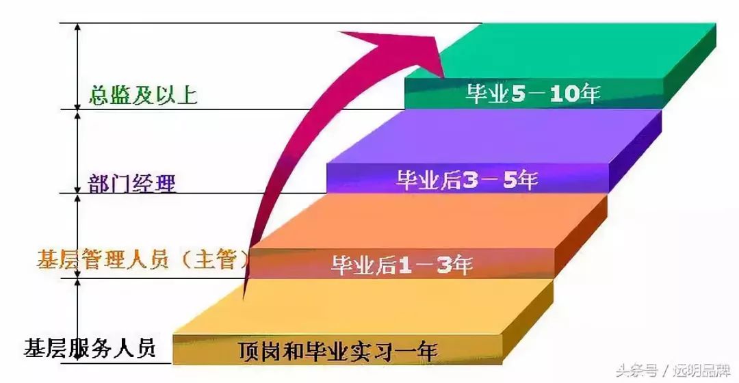 人力资源管理师：职业定义、考试条件与晋升路径全解析，助你轻松规划HR职业生涯